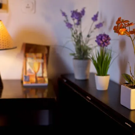 Trastevere Charming Penthouse 아파트 로마